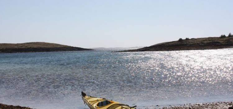 Kayaking with a guide